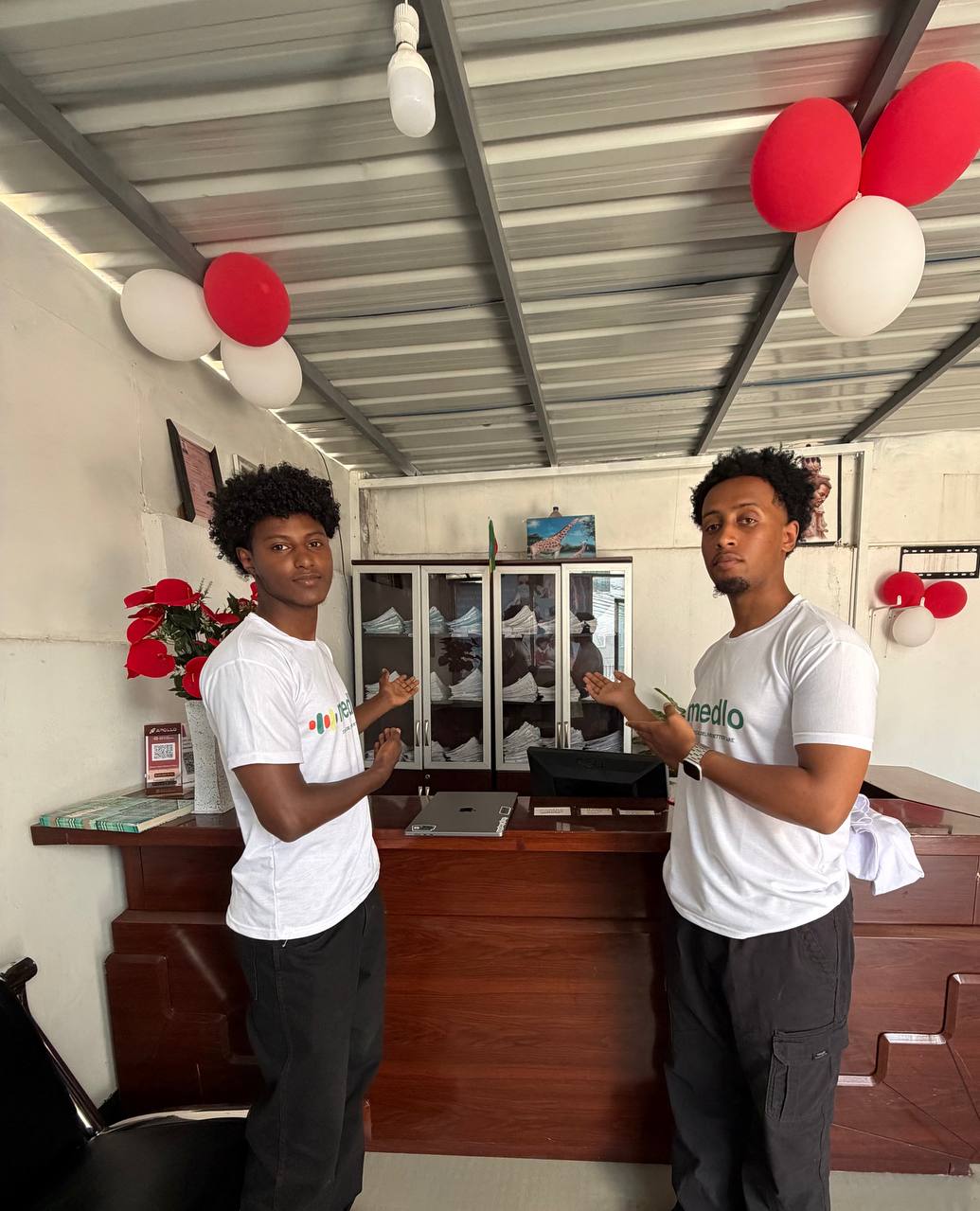 Medlo Project Screenshot 1